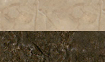2542A G-2542C G.png